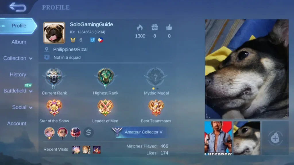 Mobile Legends Bang Bang profile screen showing User ID and Zone ID location for diamond top up