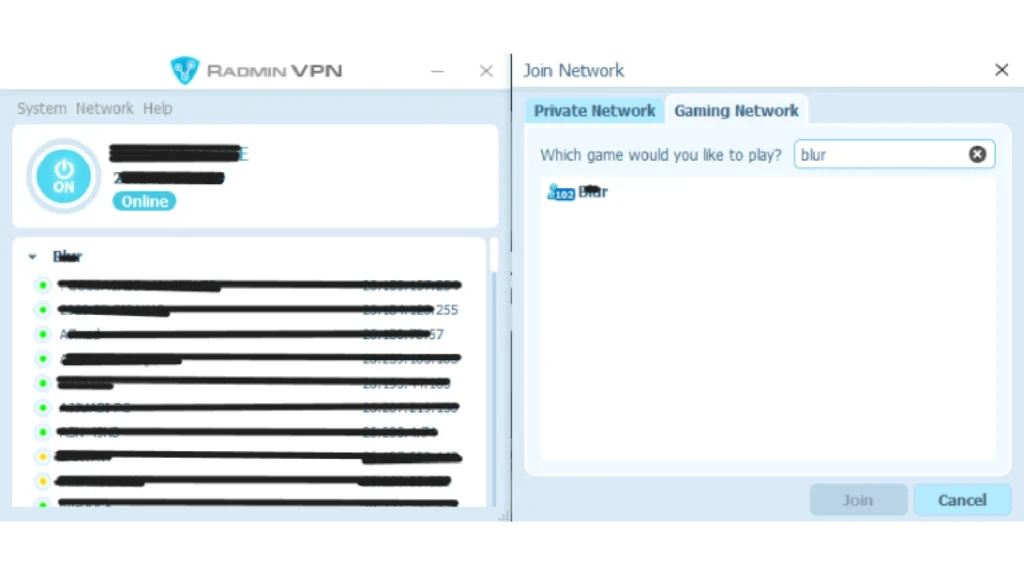 radmin-vpn-interface